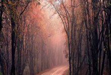 狼队客场大胜华兹德，保级前景蒙上一层阴影